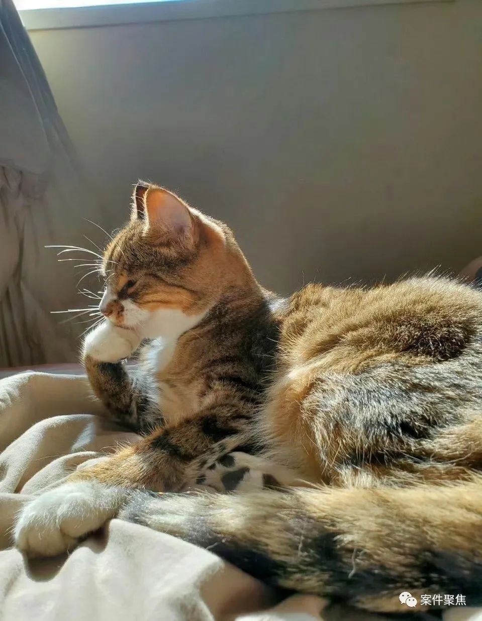 DƬ